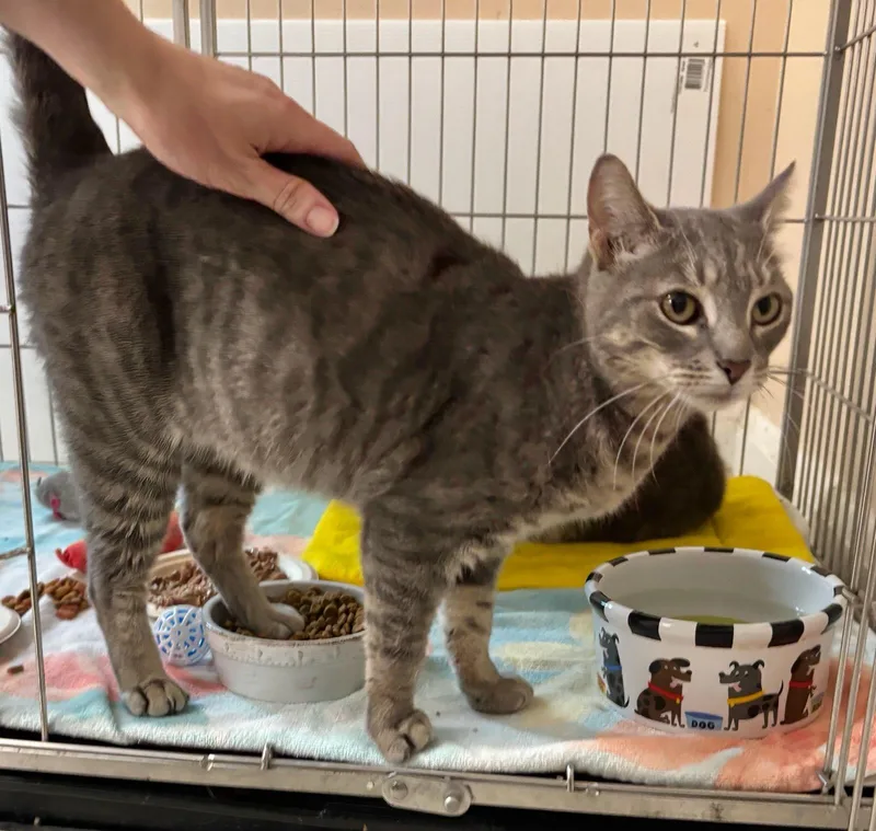 Taylor And Tiffany thumbnail 2