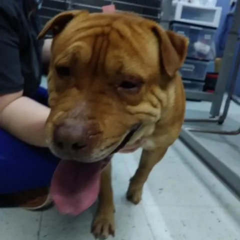Max