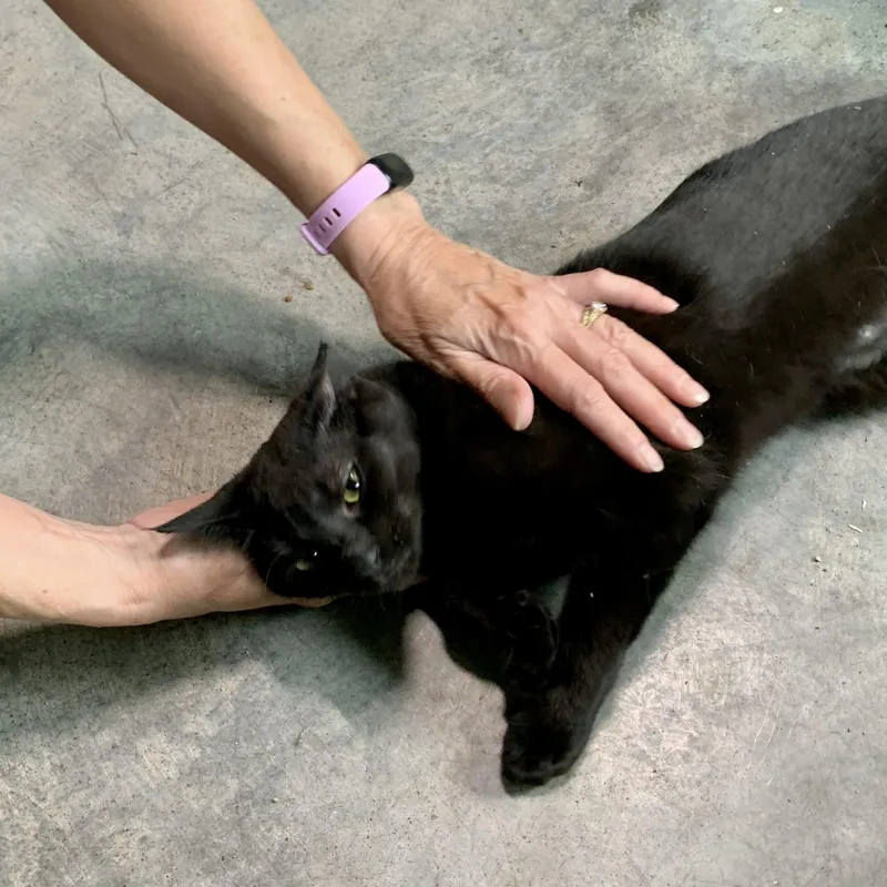 Coco thumbnail 2