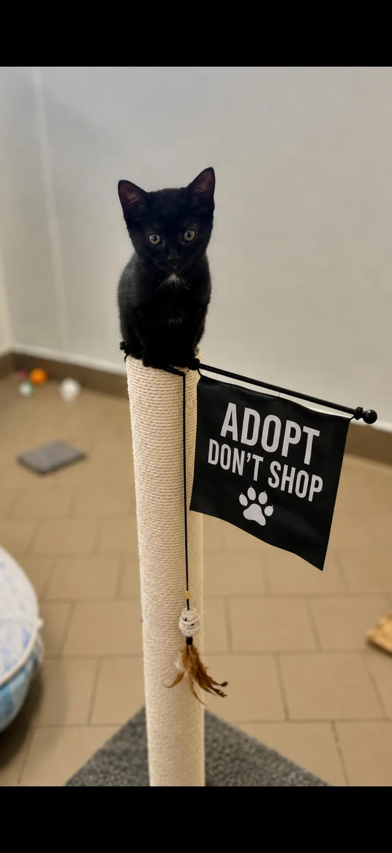 Jet of the  thumbnail 2