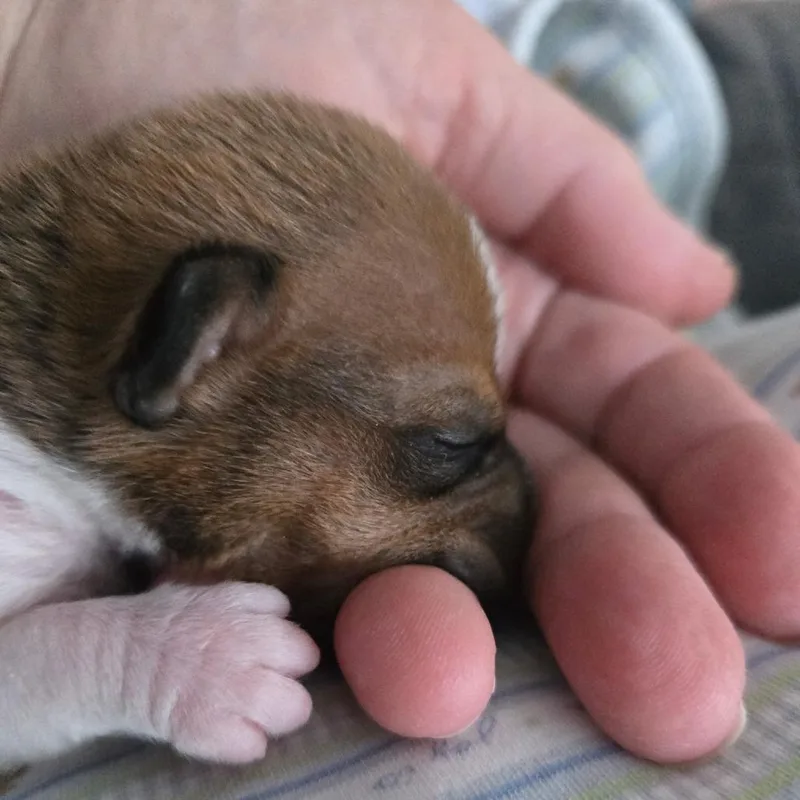 YoshiEmmitt thumbnail 6