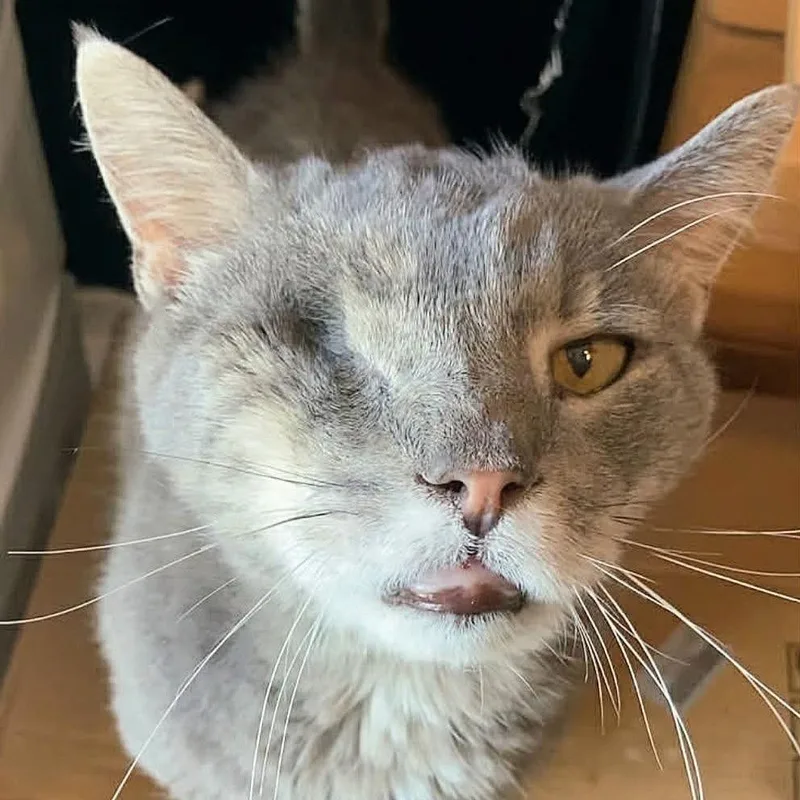 Marble