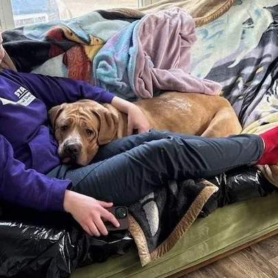 Scarlett thumbnail 3