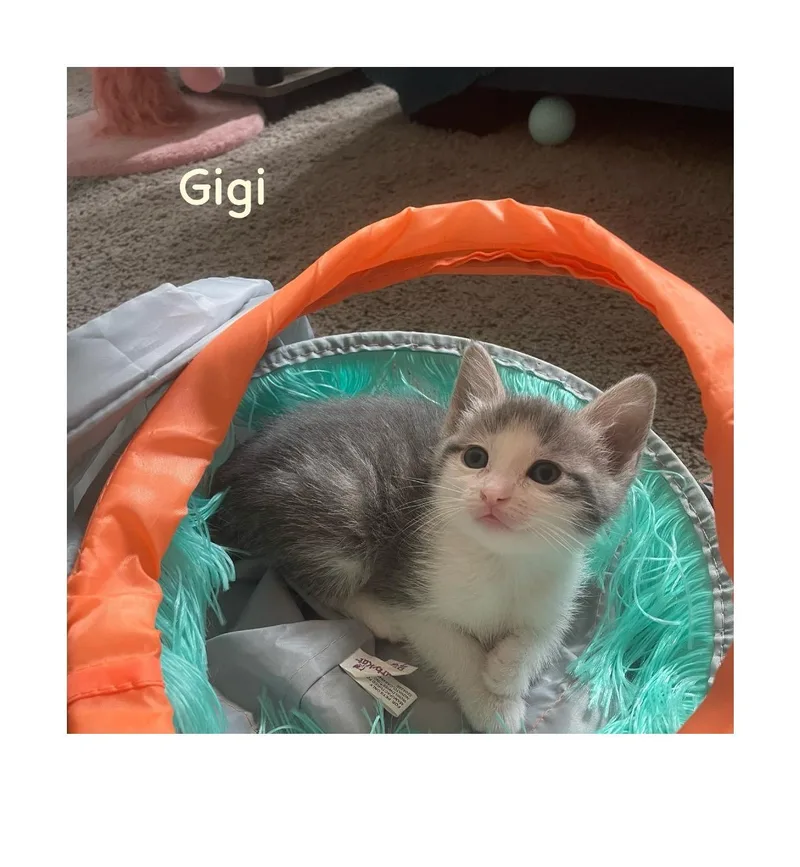 Gigi thumbnail 2