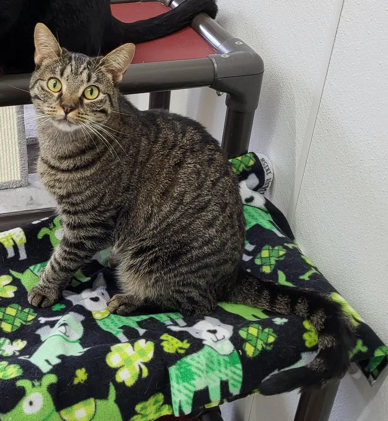 Madelynn thumbnail 2