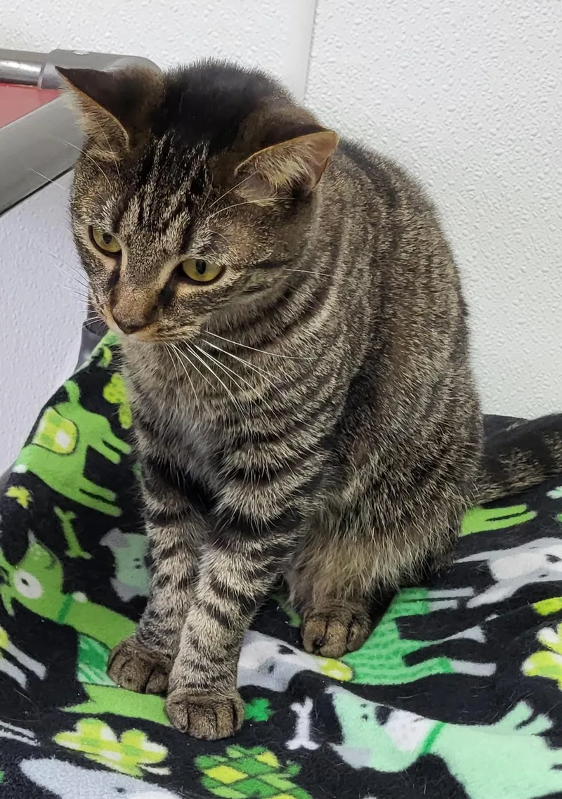 Madelynn thumbnail 3