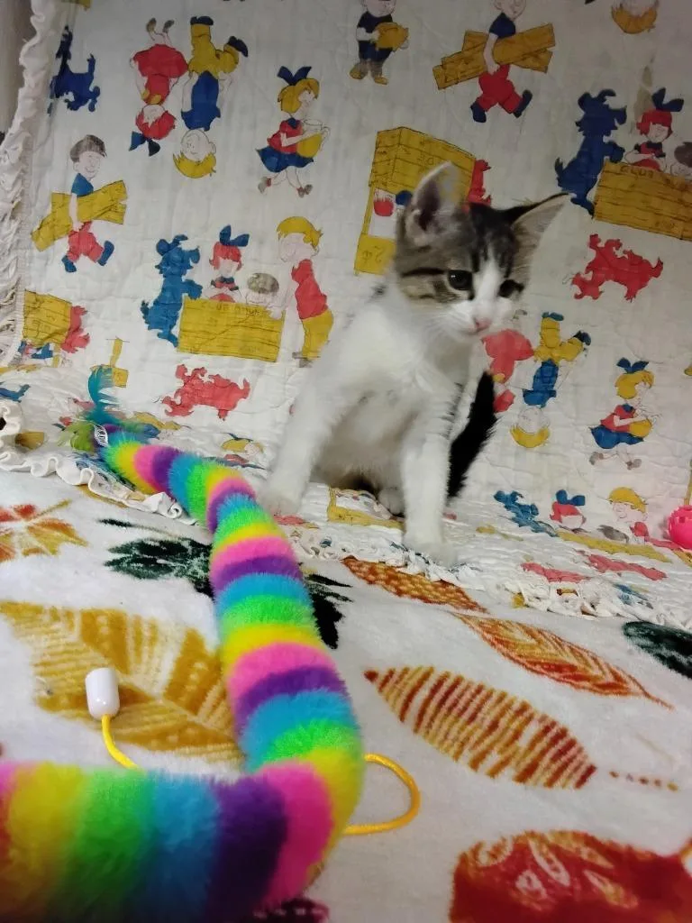 Lenny thumbnail 2