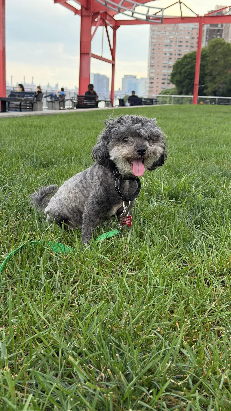 Riley