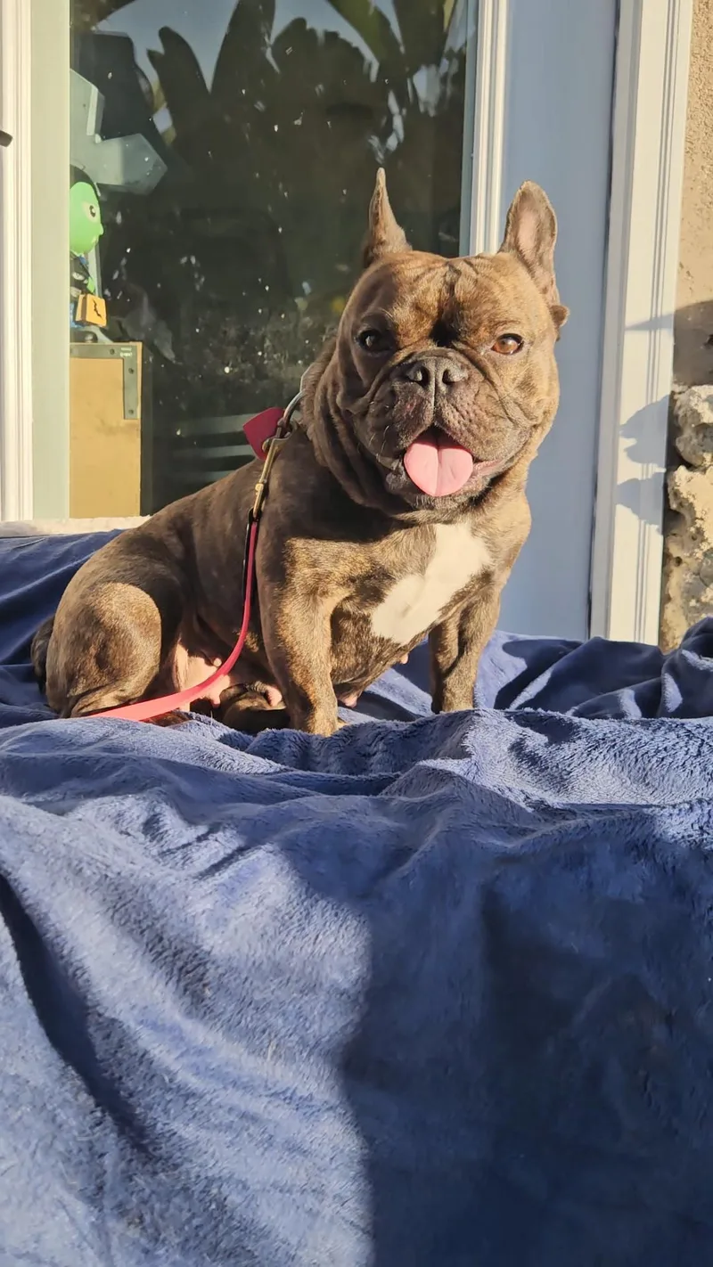 Brandy  Friends With thumbnail 2