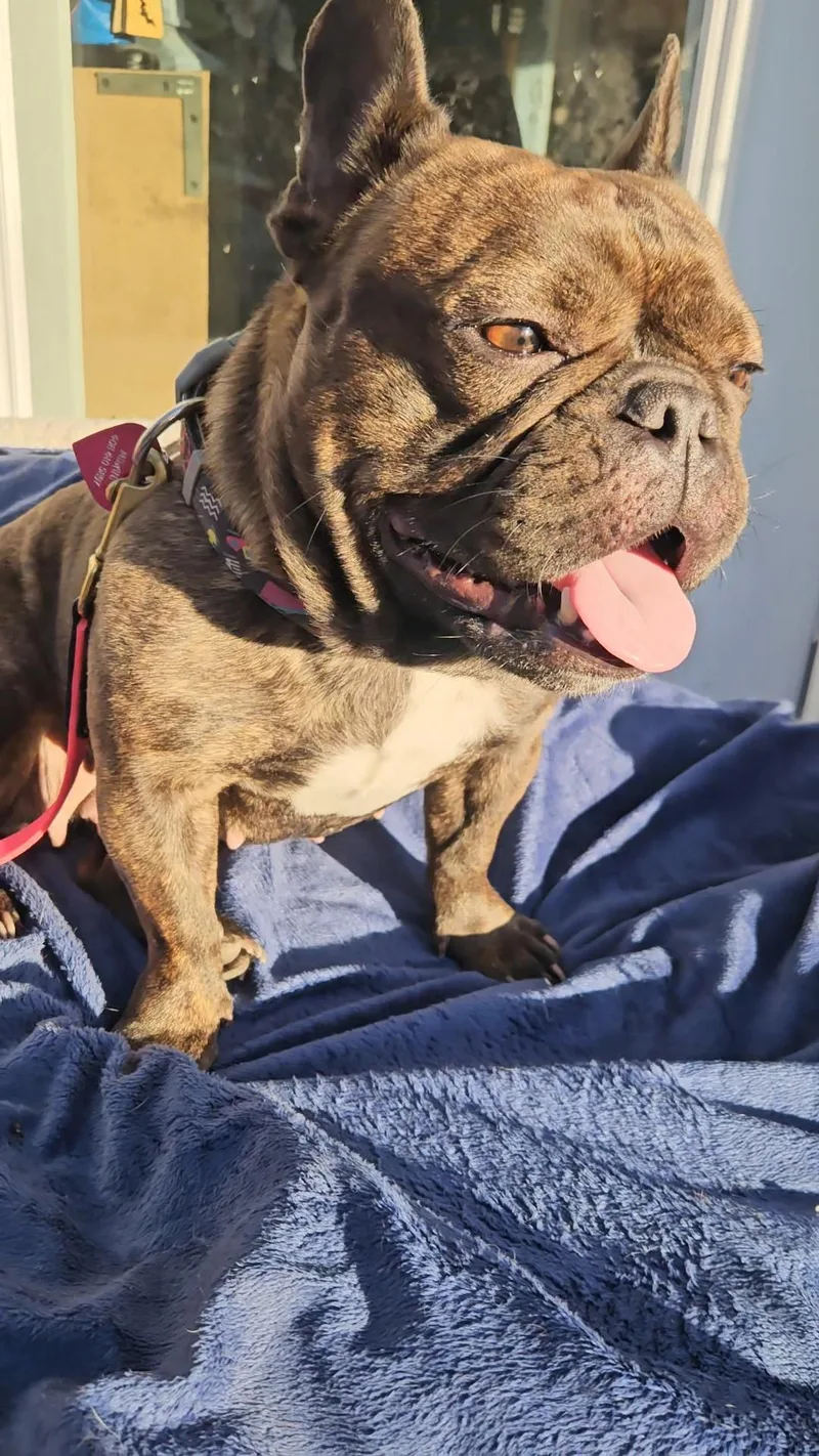 Brandy  Friends With