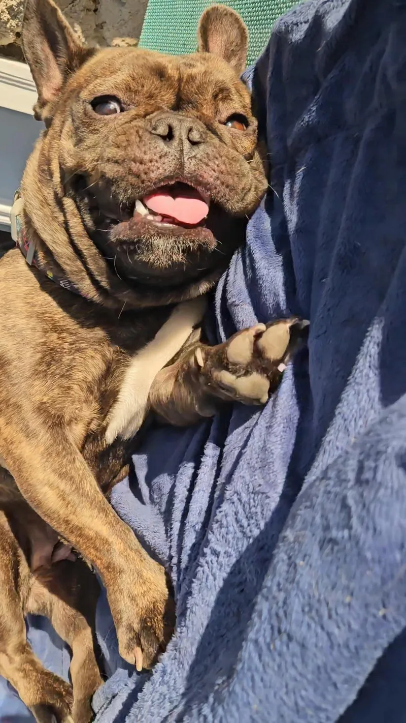 Brandy  Friends With thumbnail 3