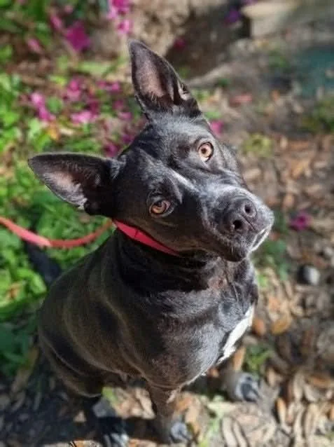 Charlotte Webb thumbnail 2