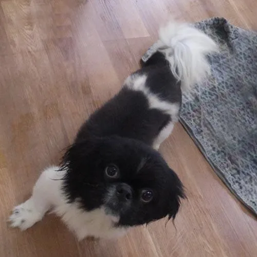 Lenny thumbnail 3
