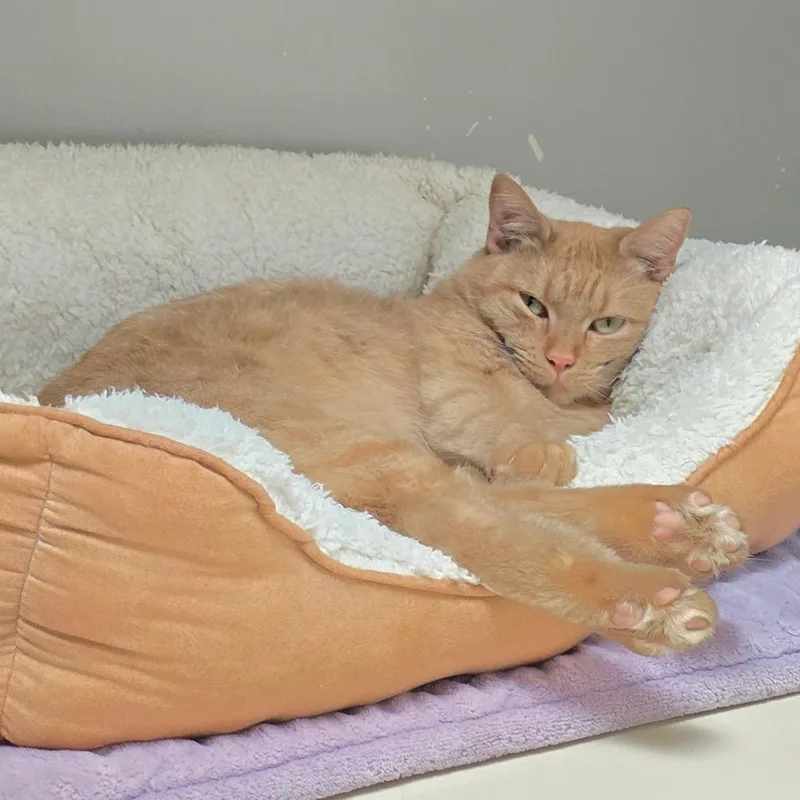 Mama Princess thumbnail 3