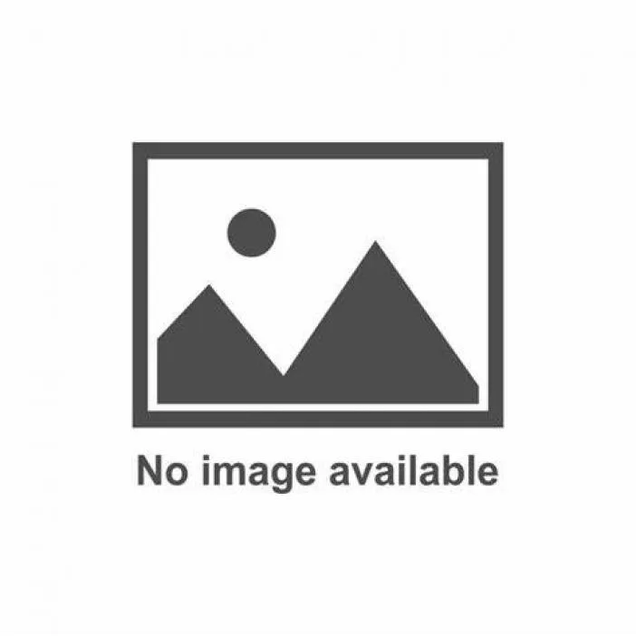 An adult large-sized male Black Rottweiler dog named Silber for adoption in Norfolk, NE