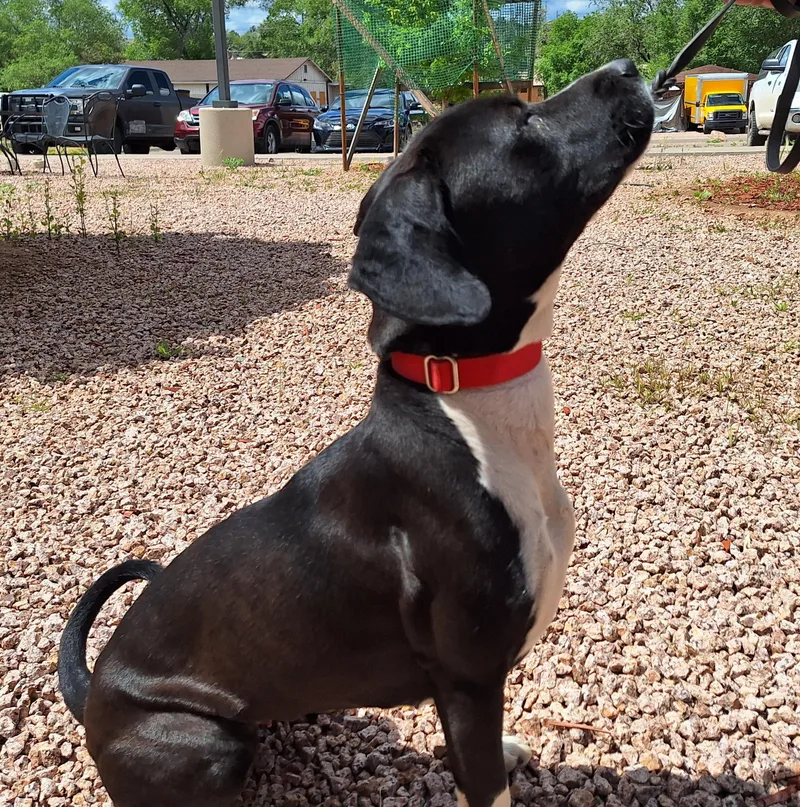 Obsidian thumbnail 2