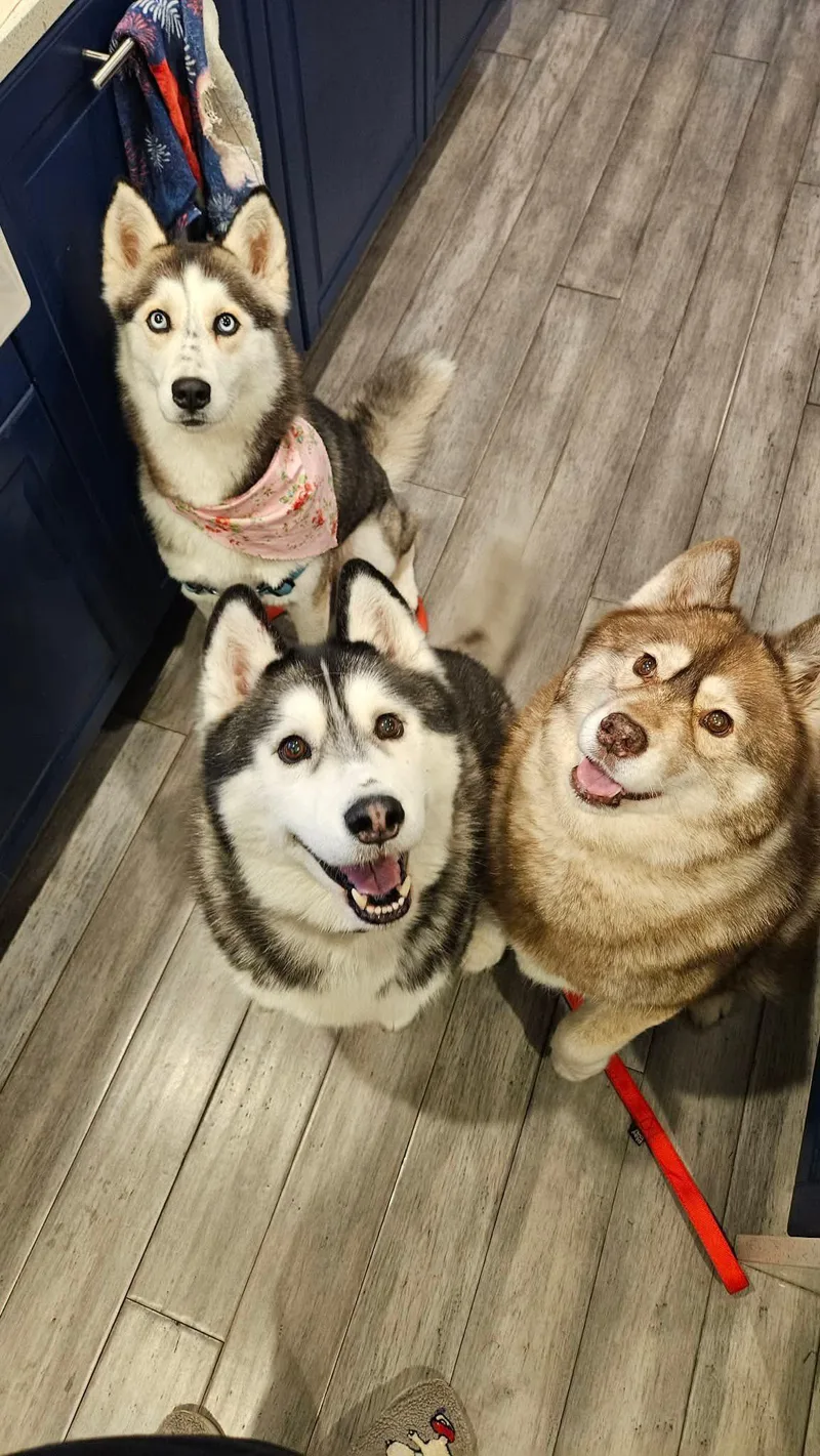 Alaska thumbnail 2