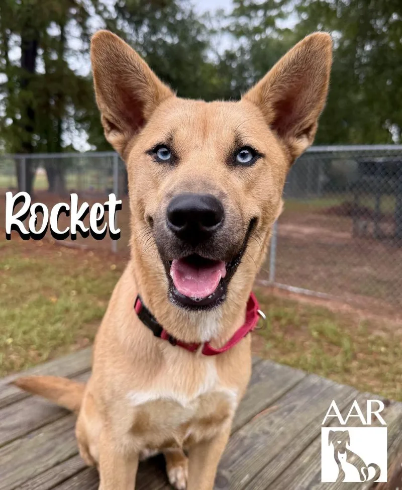 Rocket thumbnail 2
