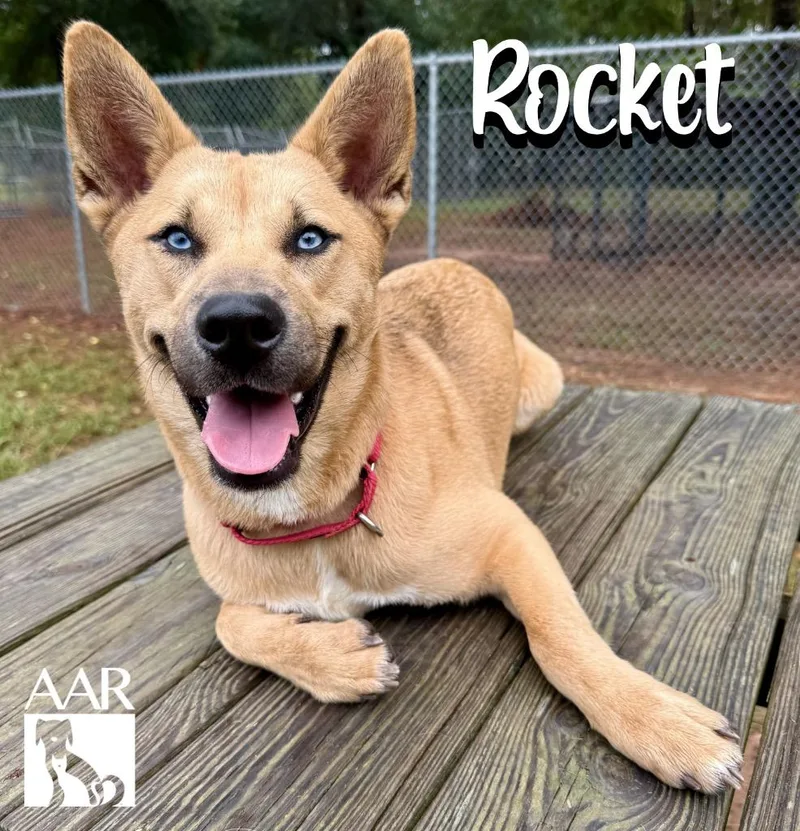 Rocket thumbnail 3