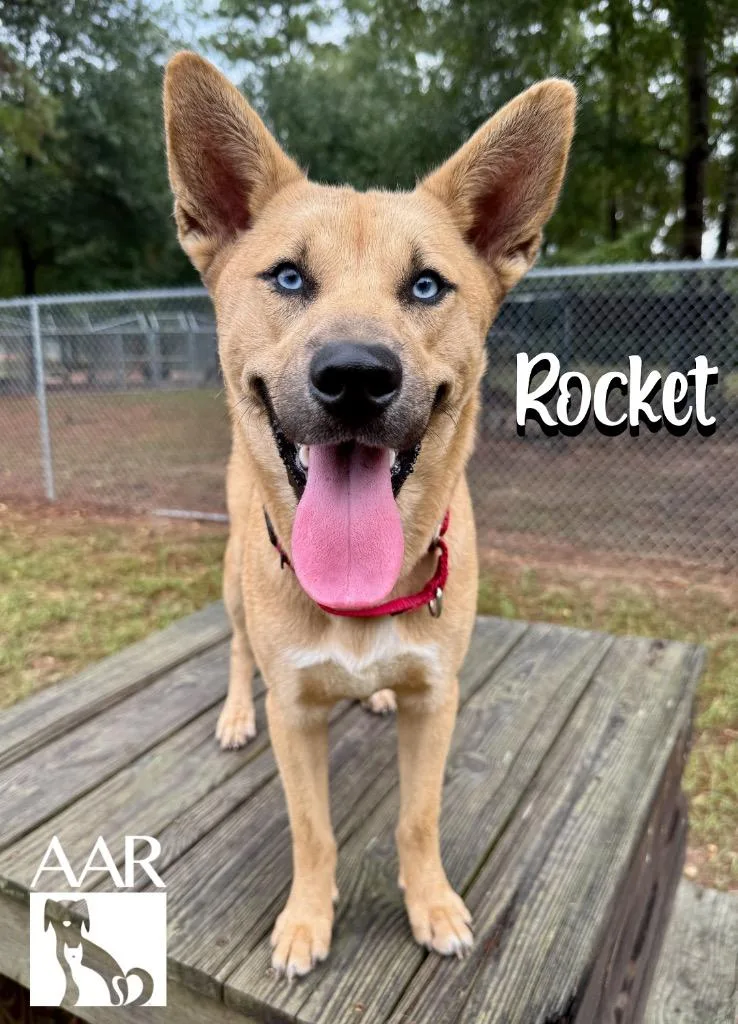 Rocket thumbnail 4