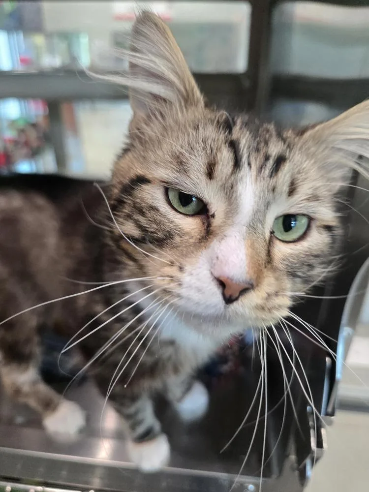 Mr. Reba thumbnail 2