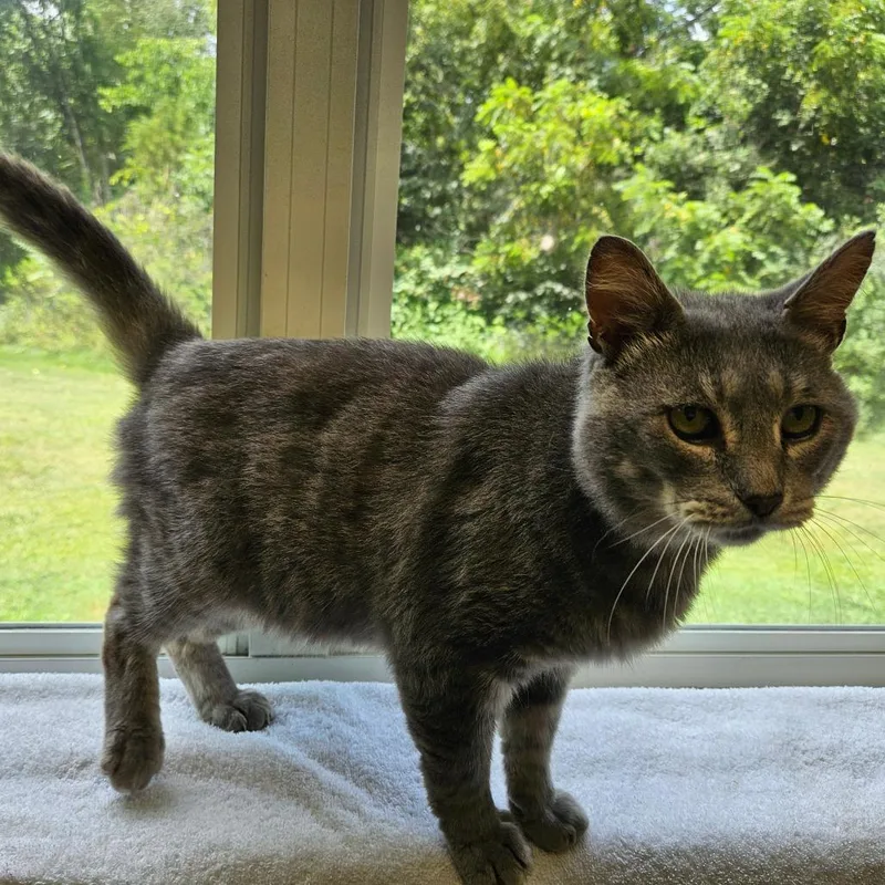 Leroy Jenkins thumbnail 3