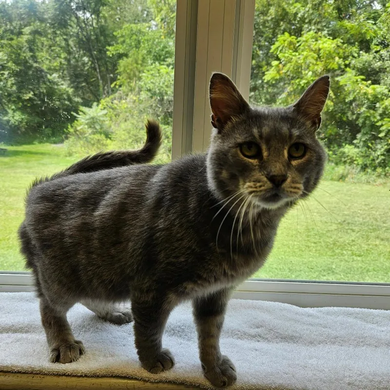 Leroy Jenkins thumbnail 4