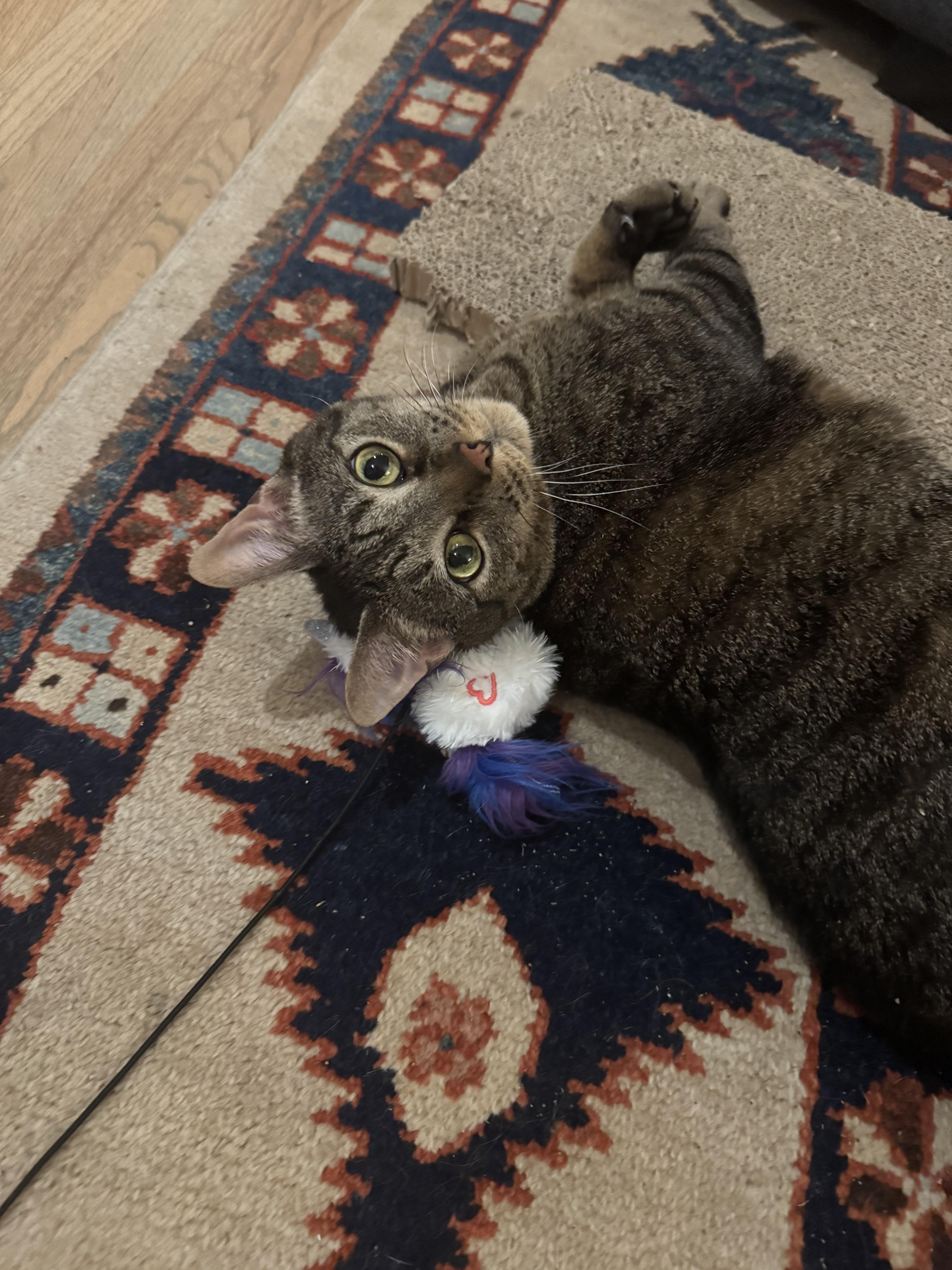 Frederick