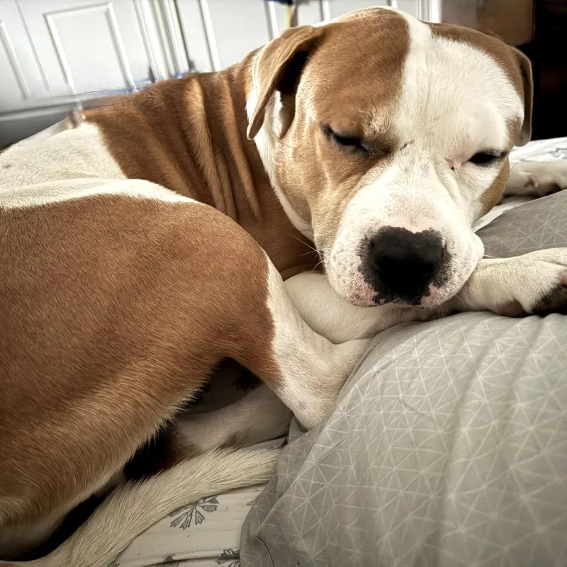 Mistrorocky thumbnail 3