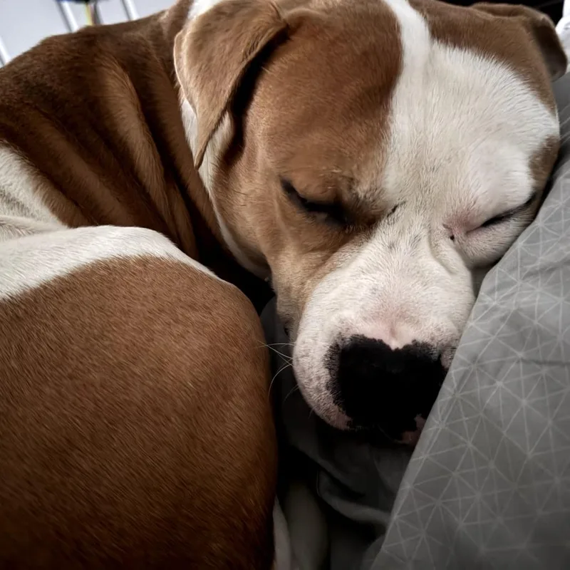 Mistrorocky thumbnail 4