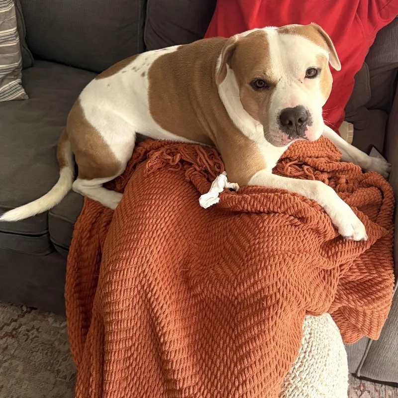 Mistrorocky thumbnail 5