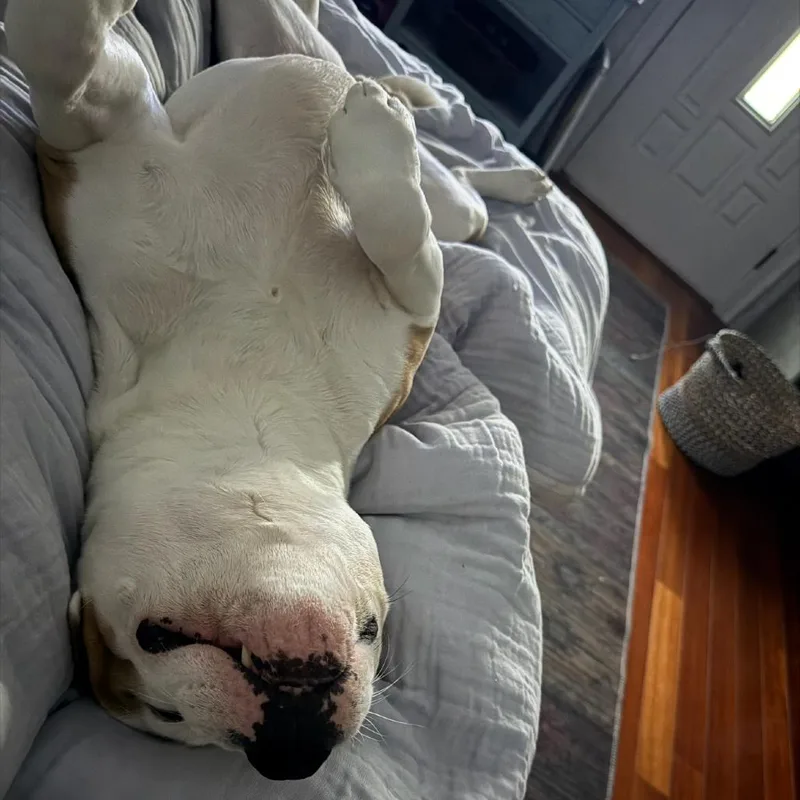 Mistrorocky thumbnail 6