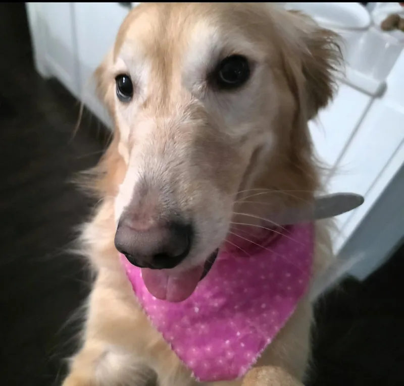 Birdie Mae thumbnail 3