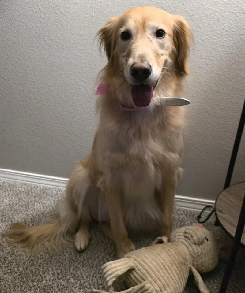 Birdie Mae thumbnail 5
