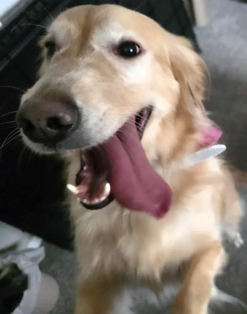 Birdie Mae thumbnail 6