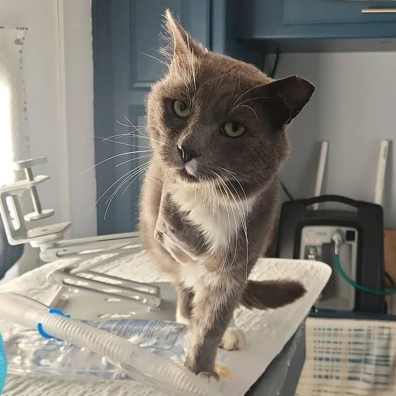 Sebastian thumbnail 2