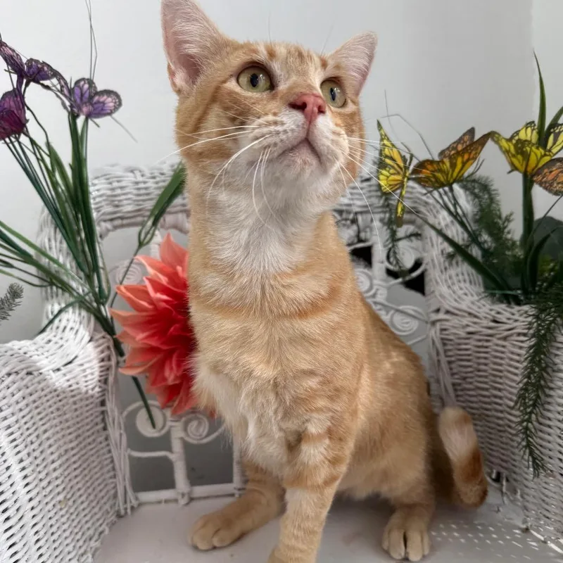 Gene From Accounting