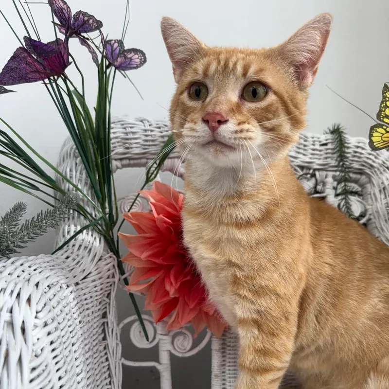 Gene From Accounting thumbnail 2