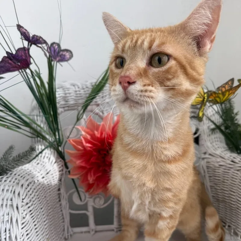 Gene From Accounting thumbnail 4