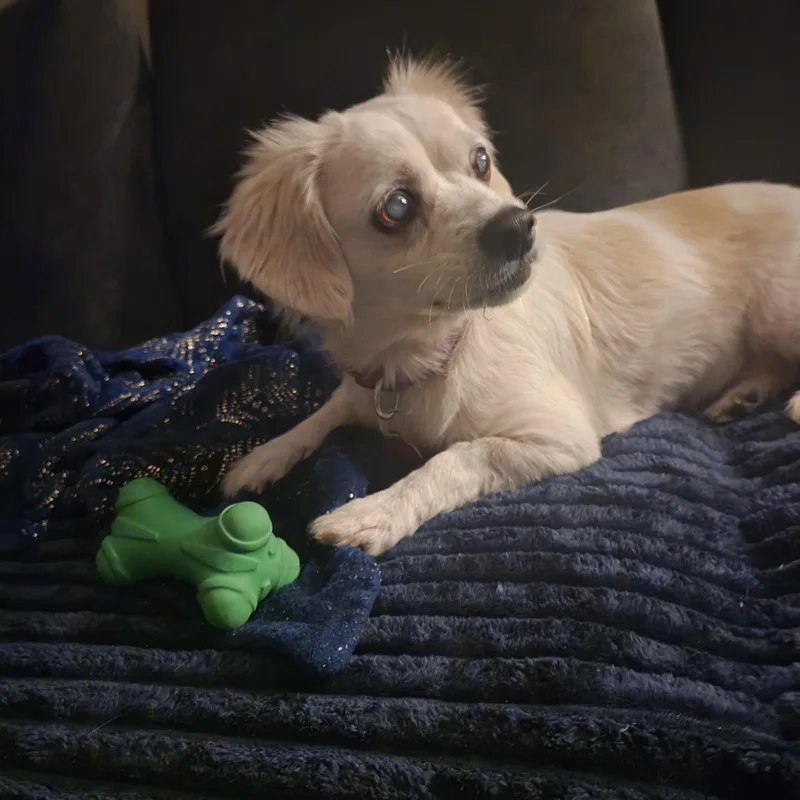 Lou Lou thumbnail 3