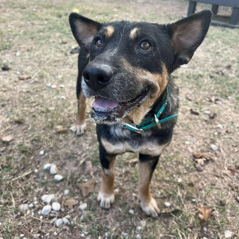 Cleopatra thumbnail 2