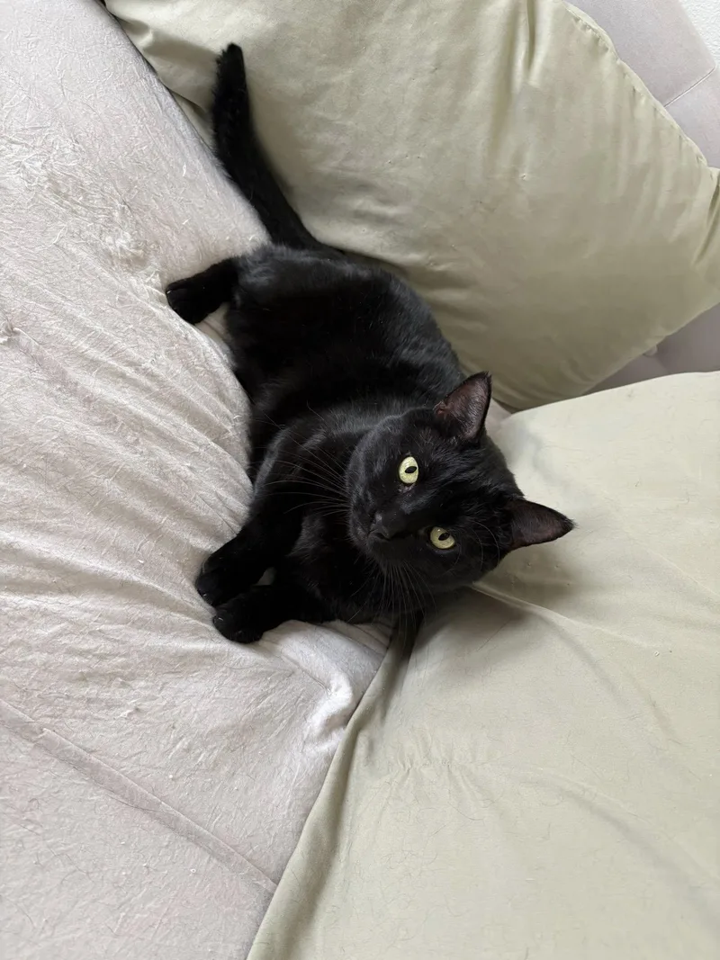 Darkness thumbnail 2