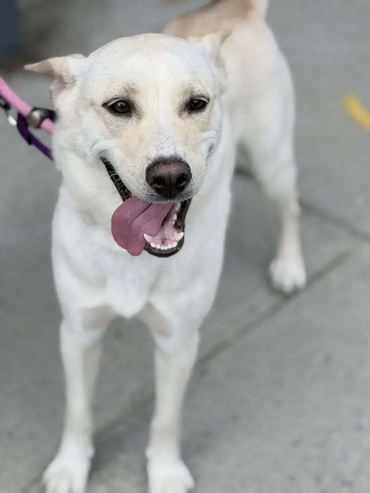 Layla Marie thumbnail 2