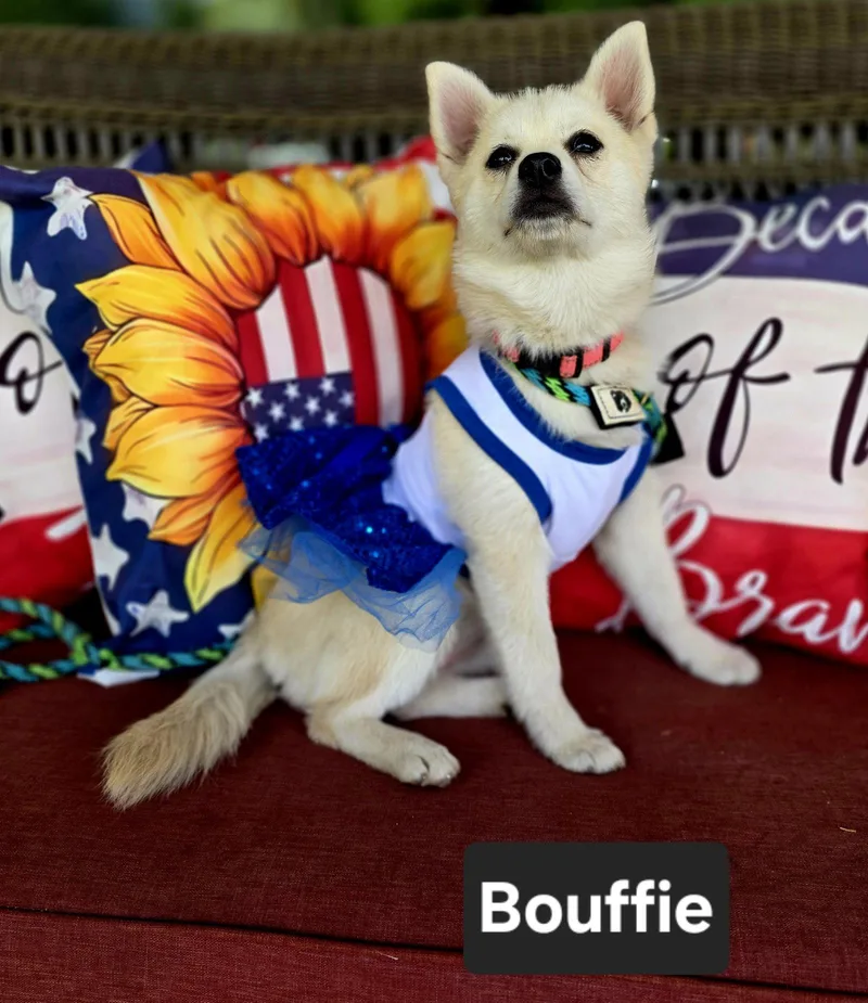 Bouffie thumbnail 2