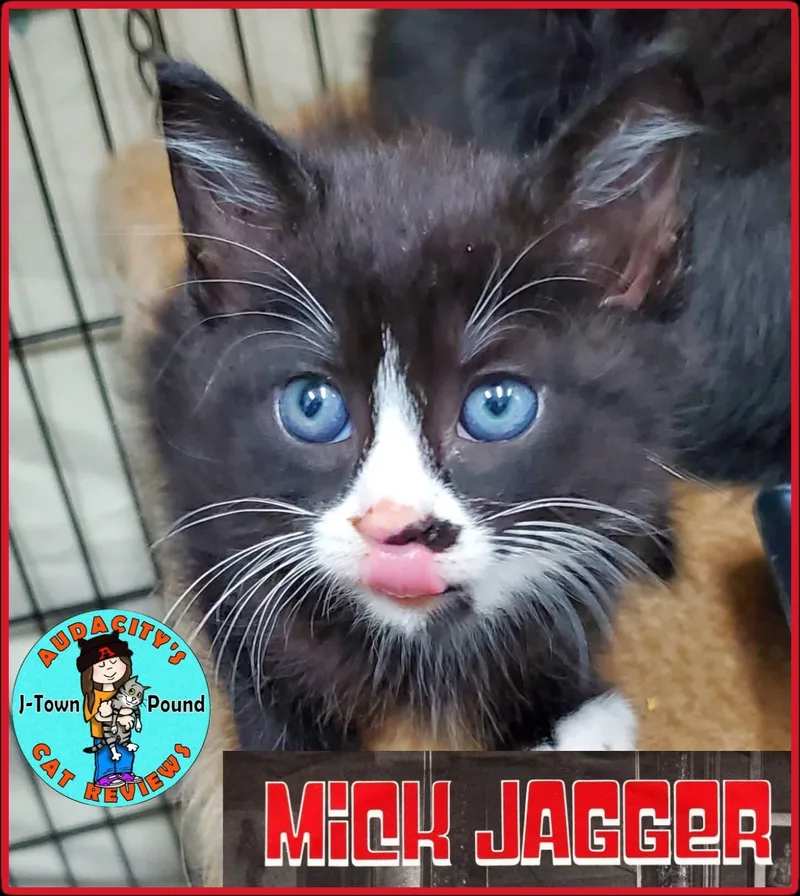 Jagger longest resident  thumbnail 2