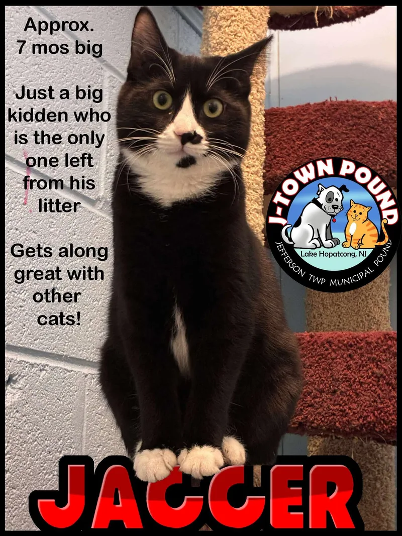 Jagger longest resident  thumbnail 4