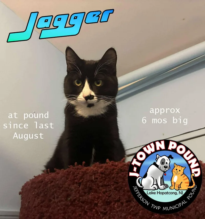 Jagger longest resident  thumbnail 5
