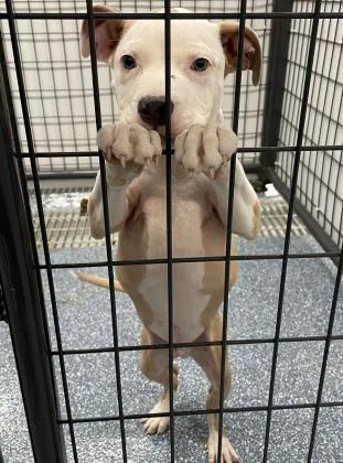 Zeus Fka Berkley thumbnail 2