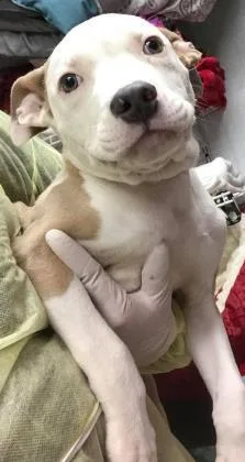 Zeus Fka Berkley thumbnail 3