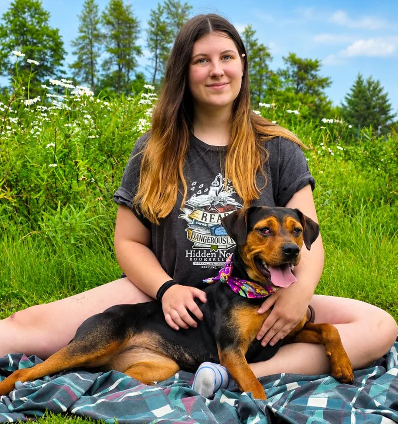 An adult medium-sized female Bicolor Mixed Breed dog named Dolly for adoption in Grayling, MI